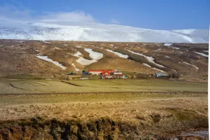 Tranquil Iceland: Capturing the Essence of Rural Harmony